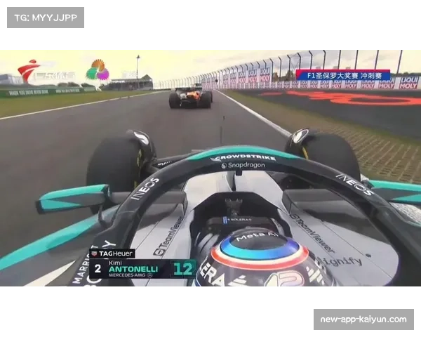 圣保罗大奖赛起步事故频发 汉密尔顿与赛恩斯碰撞提前退赛