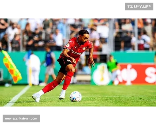 勒沃库森与霍芬海姆同积23分 凭借净胜球优势占据第四 勒沃库森与霍芬海姆同积23分 凭借净胜球优势占据第四